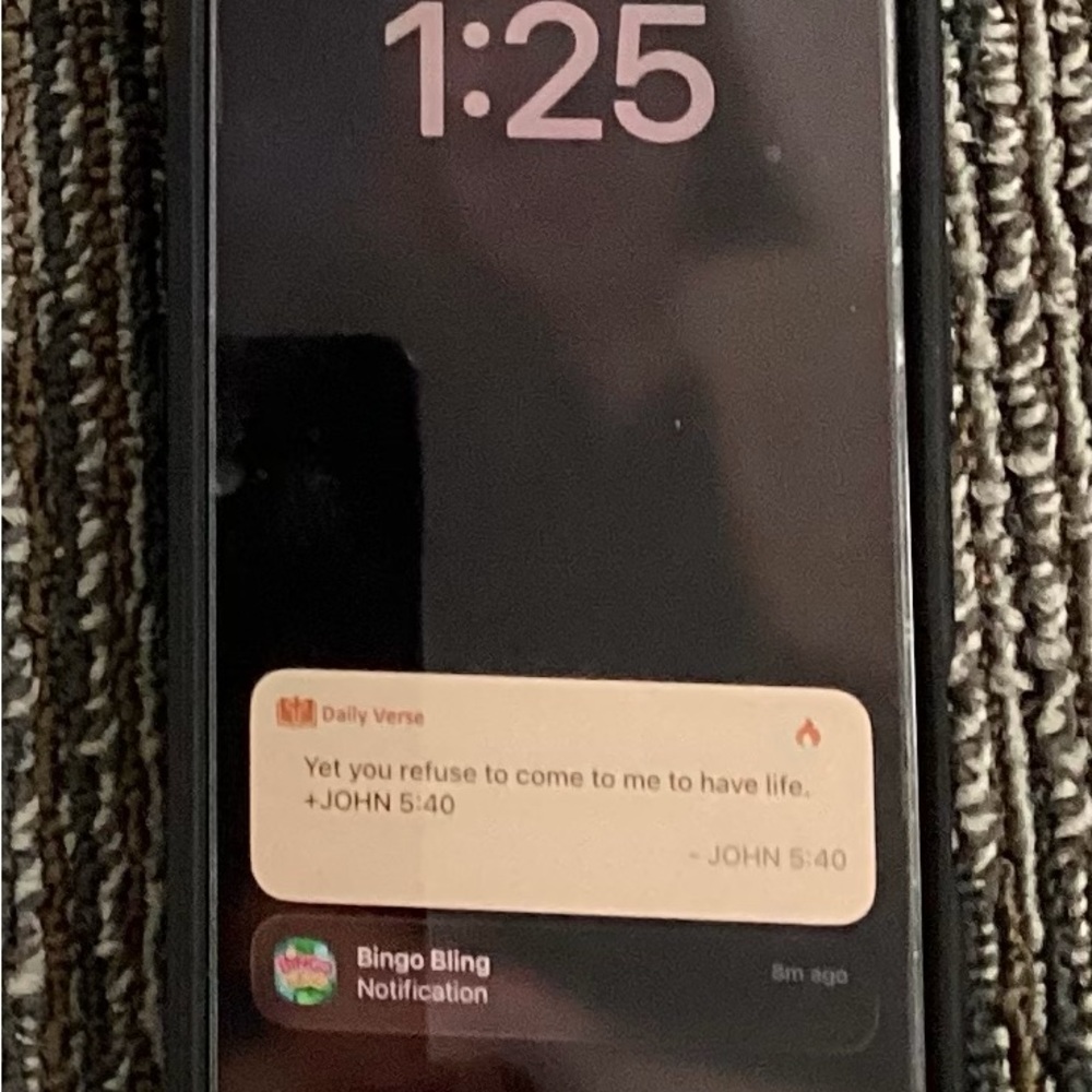 Apple Pro 17